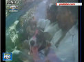 Nunta grandioasa in India: Peste 5 mii de oameni au venit la o ceremonie unde mire si mireasa au fost doi caini - VIDEO