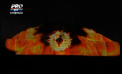 Spectacol impresionant de lumini si culori in Mexic - VIDEO