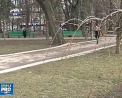 Meteorologii au emis cod galben de ploi si vant. Avertizarea intra in vigoare din aceasta seara - VIDEO