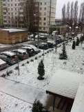 Iarna inca nu se lasa dusa: In mai multe localitati din centru si sud republicii a nins. Pentru urmatoarele zile meteorologii prognozeaza ingheturi - VIDEO