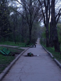 Civilizatia moldoveneasca, incotro? Mai multe banci din parcul Valea Trandafirilor au fost smulse si arucate in drum - VIDEO