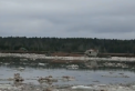 Inundatiile au facut prapad in Rusia. Localnicii din sute de case au fost evacuati - VIDEO