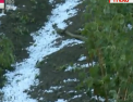 Grindina a facut prapad in vestul Georgiei - VIDEO