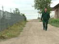 In timp ce moldovenii isi cauta norocul in Europa, nemtii s-au apucat sa creasca porci in Moldova. "Calitate mai buna inseamna pentru mine sa ai mai putina grasime pe porci si bucati mai mari de carne" - VIDEO