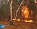 Incendiu DEVASTATOR in Rusia. Peste 40 de mii de hectare de padure si zeci de locuinte au fost mistuite de flacari - VIDEO 
