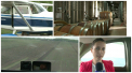 In zbor spre vinarie! Proprietarii unei fabrici de vin din Stefan Voda isi aduc clientii la depozit cu avionul - VIDEO