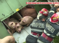 Camion cu porci, rasturnat: Animalele au ramas captive intr-o rapa. Cum s-ar fi intamplat totul - VIDEO