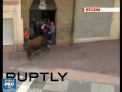Scene sangeroase in Spania. Un taur a ranit cel putin 3 persoane in timpul unui spectacol - VIDEO 