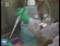 O superbacterie care ar putea fi rezistenta la toate antibioticile a fost descoperita, in premiera, in Statele Unite - VIDEO