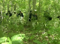 L-au pedepsit pentru ca nu a fost cuminte, iar acum nu mai este de gasit. Ce s-a intamplat cu un baiat de doar 7 ani - VIDEO