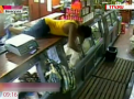 Au ajuns sa fure mancare din magazine. Locuitorii Venezuelii sunt disperati din cauza crizei economice din tara - VIDEO