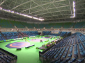 Criza financiara in Brazilia, inainte de Jocurile Olimpice. Rio de Janeiro mai are nevoie de 900 de milioane de dolari pentru a finaliza lucrarile - VIDEO