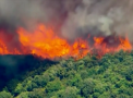 Imagini apocaliptice in sudul Californiei. Vegetatia este mistuita de doua incendii care ard la numai cativa kilometri distanta unul de celalalt - VIDEO