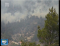 Europa se sufoca: Temperaturi record si incendii de vegetatie - VIDEO