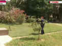 Invazie de lacuste in Soci. Au ajuns in casele, gradinile oamenilor dar si pe plaje:"prima data vad asa ceva". Ce spun specialistii - VIDEO