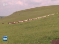 Tragedie in muntii Bucegi din Romania. Un cioban a murit dupa ce a fost lovit de fulger - VIDEO