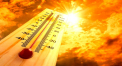 Meteorologii au emis cod galben de canicula pana duminica. Maximele termice vor atinge +33 de grade