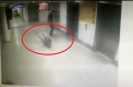 Momentul in care unul dintre teroristi ataca un politist imbracat in civil pe aeroportul din Istanbul. Imagini care va pot afecta emotional - VIDEO