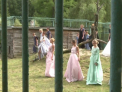 Festival de moda spectaculos si "periculos" la Sibiu. Manechinele au defilat in cusca leilor de la zoo - VIDEO
