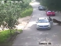 Incident tragic intr-un parc safari din China. O femeie a murit, dupa ce a incercat sa-si ajute fiica ca sa scape din ghearele unui tigru - VIDEO