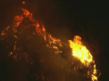Aproape 20 de mii de oameni au fost evacuati in apropiere de Los Angeles, dupa ce locuintele le erau amenintate de un urias incendiu de vegetatie - VIDEO