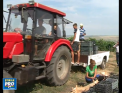 Struguri multi si dulci, insa marunti. Pe plantatia de vita de vie a lui Vitalie Luchin, de cateva zile culesul este in toi - VIDEO