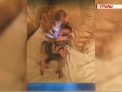 Imaginile in care o maimuta si puiul ei "navigheaza" pe internet au devenit virale - VIDEO