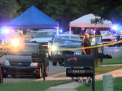 Caz tragic in Statele Unite. Un politist a impuscat mortal un sofer surdomut - VIDEO