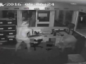 Jaf in stil australian. Mai multi tineri au mers la furat intr-o scoala luand cu ei... trei crocodili - VIDEO