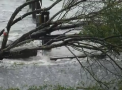 Stare de urgenta in statul american Florida, care se pregateste sa infrunte primul uragan din ultimul deceniu: "Vom vedea o furtuna mare, ploi abundente si inundatii" - VIDEO