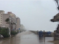 Stare de urgenta in statul american Florida. Uraganul Hermine a ucis deja doua persoane si a afectat alti peste 300 de oameni - VIDEO