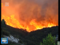 Vestul Europei este mistuit de incendii de vegetatie. Imaginile filmate la fata locului arata amploarea dezastrului, dar si munca enorma depusa de pompieri - VIDEO