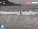 Distractie pe o plaja din California, unde mai multi caini s-au aventurat printre valuri - VIDEO 