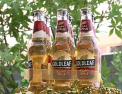 Efes Moldova, cea mai inovatoare companie pe piata bauturilor slab-alcoolice din Moldova, a lansat o categorie absolut noua: cidrul de mere si pere "GoldLeaf" - VIDEO