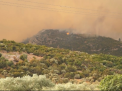 Incendiile au transformat insula greceasca Thassos intr-un adevarat focar, dupa ce de trei zile flacarile au cuprins padurile de pe insula - VIDEO