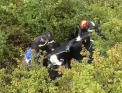 Cum a scapat cu viata un barbat din Grecia care a stat blocat cinci zile in masina care a cazut intr-o prapastie - VIDEO