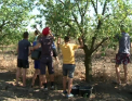 Fac practica... pe deal! In timp ce unii studenti isi fac practica in institutii sau organizatii, cei de la centrul de viticultura si vinificatie din Stauceni sunt dusi sa stranga roada de pe dealuri - VIDEO