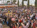 Berea curge garla in orasul german Munchen: s-a dat start renumitului festival Oktoberfest - VIDEO