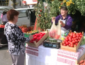 Forfota mare la Orhei. In oras a fost organizat festivalul Toamna de Aur: "ne bucuram de asa preturi"- VIDEO