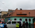 Momente de panica la Sibiu. Un urs, care nu se stie cum a ajuns in oras, a bagat spaima in localnici - VIDEO