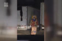 Farsele cu clovnii inspaimantatori din Europa par mai putin amuzante. Clovnii apar in intuneric, au un ras terifiant si tin in maini bate sau cutite - VIDEO
