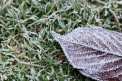 Temperaturile au ajuns sub 0 grade. Prognoza meteo: Ce spun meteorologii