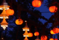 Mai sunt cateva zile pana la Halloween, asa ca dovlecii ciopliti, liliecii si vrajitoarele incep sa-si faca aparitile. Astfel, un parc din Copenhaga a fost decorat cu instalatii luminoase si bostani uriasi - VIDEO