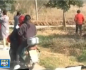 Cativa soferi din China au fost novoiti sa cedeze trecerea unor pasari. In jur de 20 de mii de rate au trecut, in mod organizat drumul, la o trecere de pietoni - VIDEO