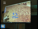 Au renuntat la pensula si panza si au inceput sa picteze cu ajutorul realitatii virtuale. Artistii din Londra au nevoie decat de o telecomanda, un ecran si multa imaginatie pentru noul format - VIDEO