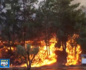Situatie dramatica in Israel. Incendiile de vegetatie au ajuns pana in orasul Haifa, unde peste 60 de mii de oameni au fost evacuati - VIDEO