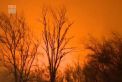 Este stare de urgenta in statul american Tennessee, din cauza incendiilor de vegetatie. Trei persoane au murit, peste 250 de locuinte au fost distruse - VIDEO
