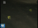 Caz teribil in judetul Dolj, Romania. Doi barbati, tata si fiu au fost impuscati mortal de un tanar: Cum s-a intamplat totul - VIDEO 