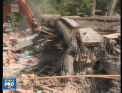 Cutremur de 6,5 pe scara Richter a lovit in aceasta dimineata nordul Indoneziei: Aproape o suta de oameni au murit - VIDEO