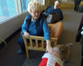 Sedinta de terapie pe aeroport cu un... purcelus. O noua metoda de a relaxa pasagerii de pe un aeroport din SUA - VIDEO